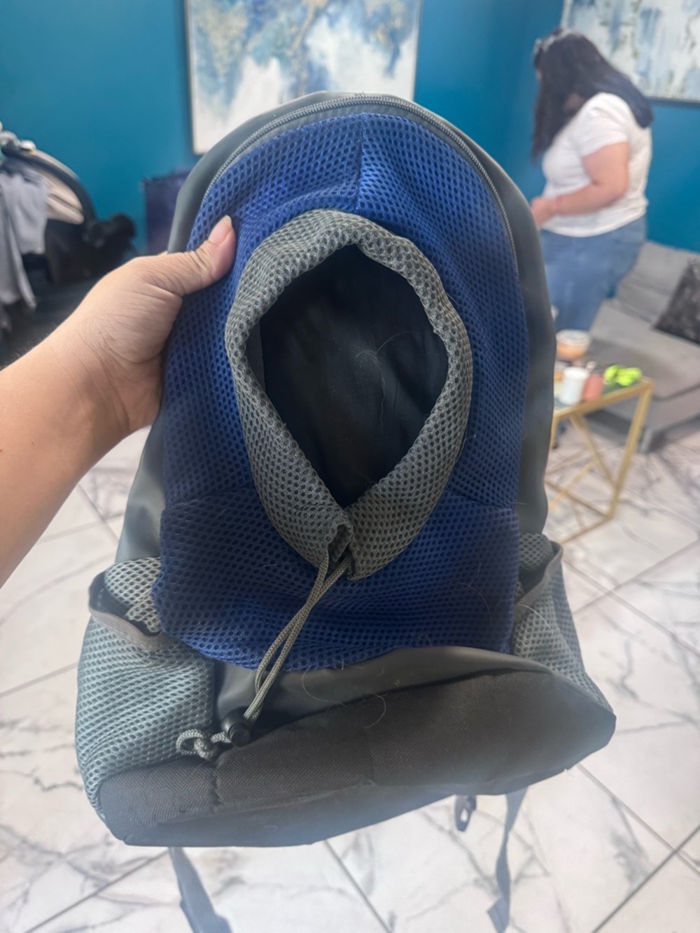 Small backpack to carry dog